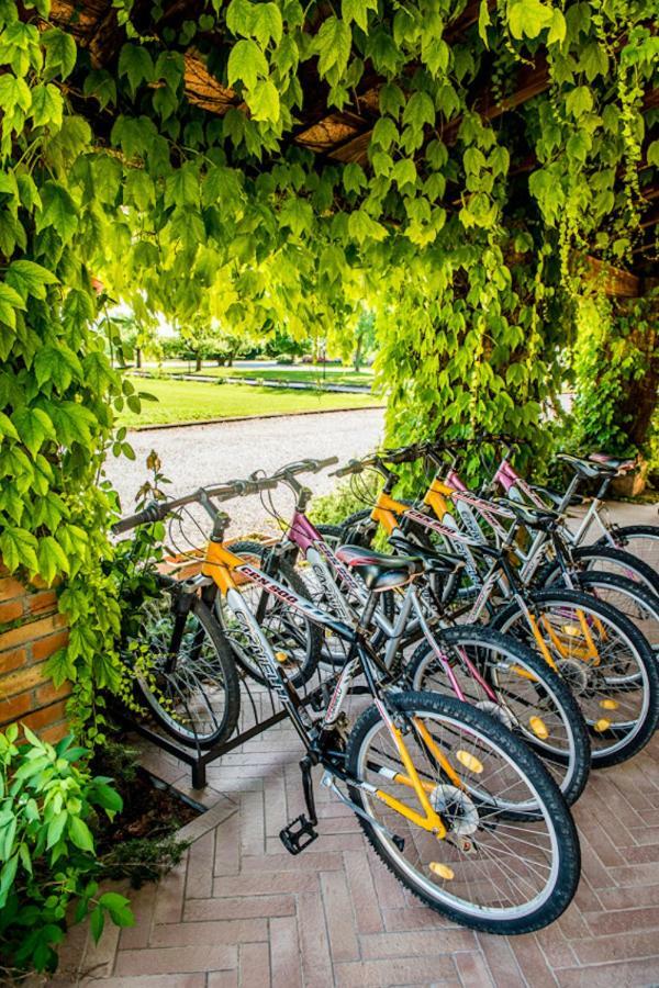 Agriturismo Tenuta Regina - Glamping Luxury And Landhuis Palazzolo dello Stella