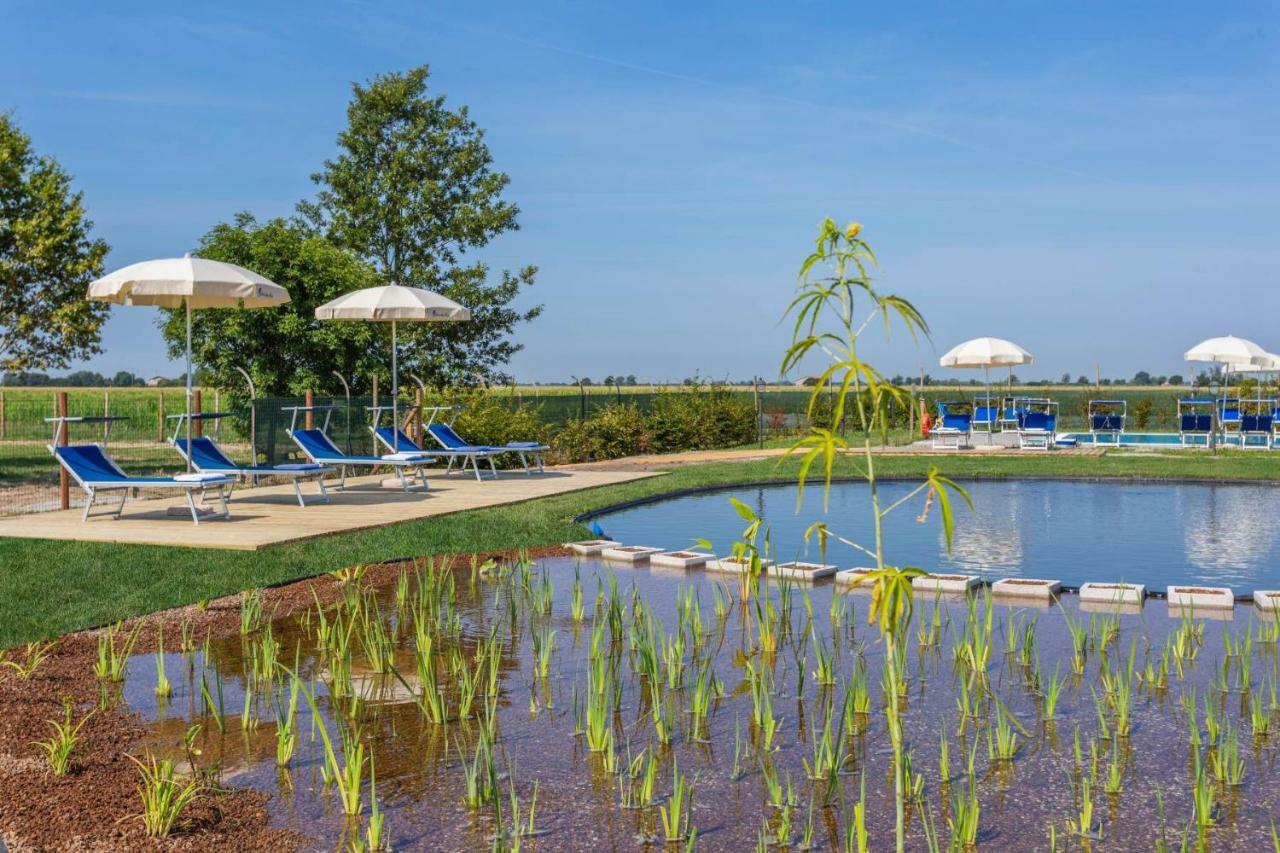 Agriturismo Tenuta Regina - Glamping Luxury And Landhuis *