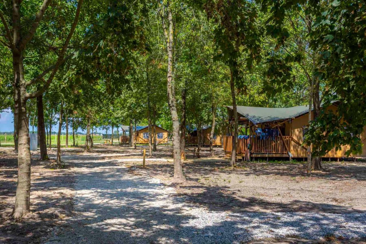 Agriturismo Tenuta Regina - Glamping Luxury And
